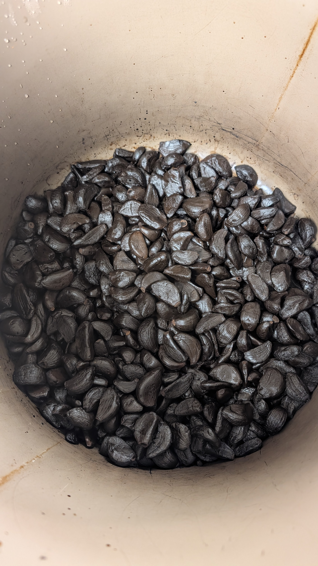 Black Garlik Cloves